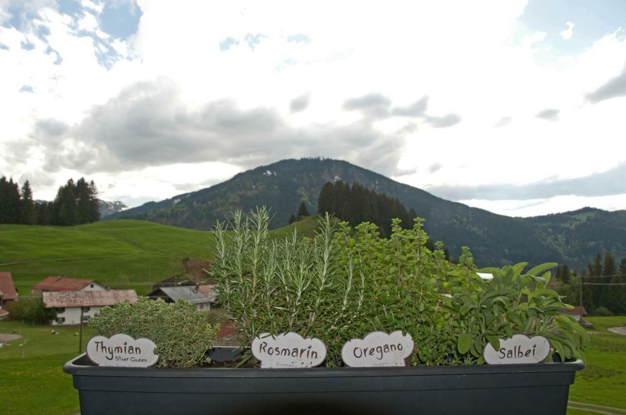 Erlebnis Apartamento *