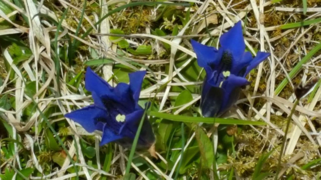 Erlebnis Jungholz